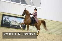 22BUCK_02821 proof