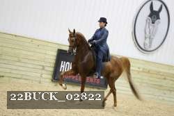 22BUCK_02822 proof