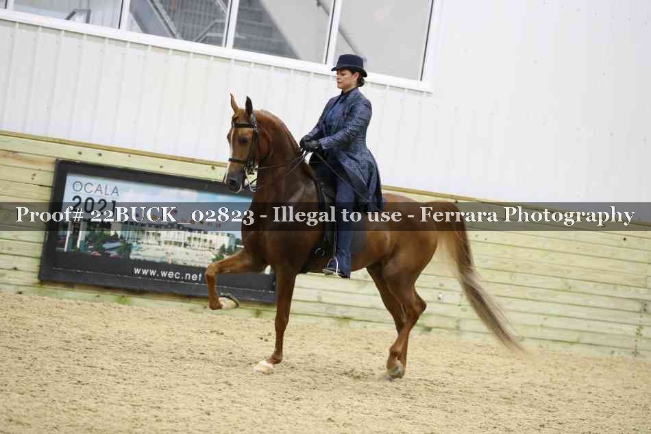 Proof 22BUCK_02823