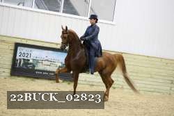22BUCK_02823 proof
