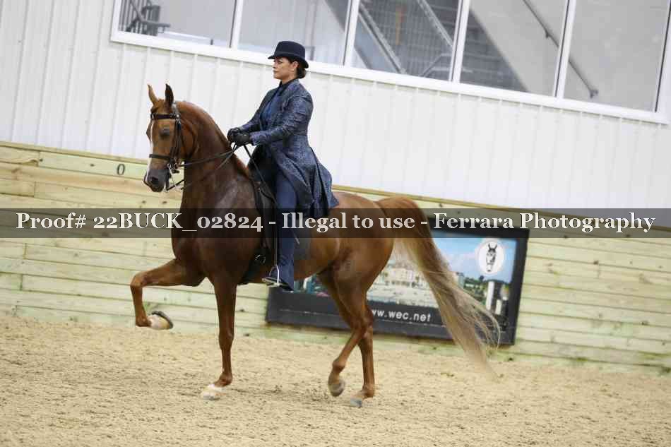 Proof 22BUCK_02824