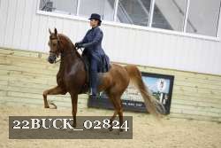 22BUCK_02824 proof