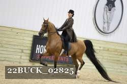 22BUCK_02825 proof
