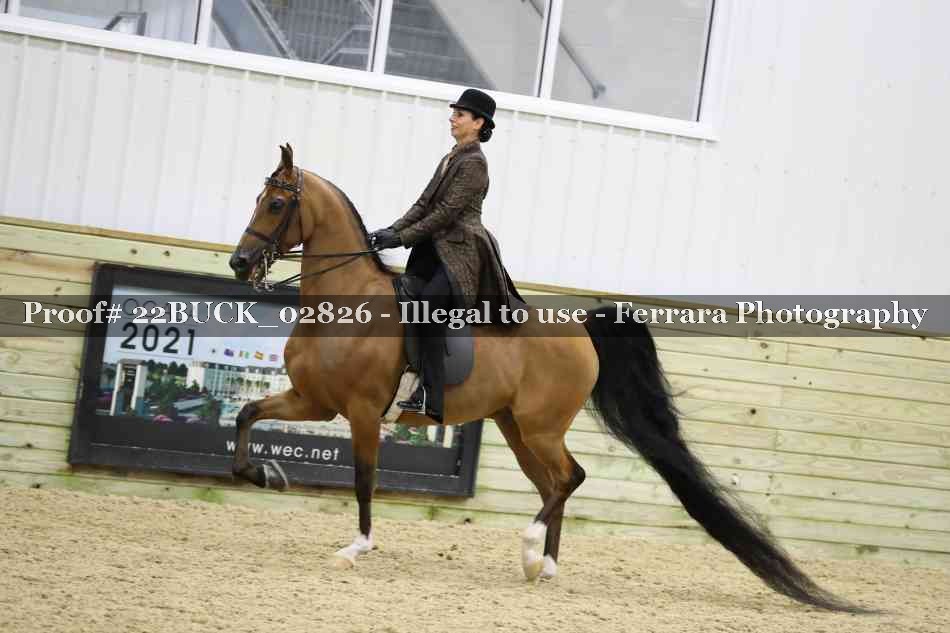 Proof 22BUCK_02826