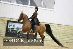 22BUCK_02826 proof