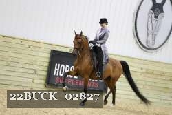 22BUCK_02827 proof
