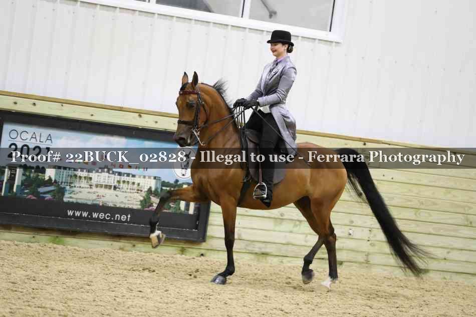 Proof 22BUCK_02828