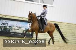 22BUCK_02828 proof