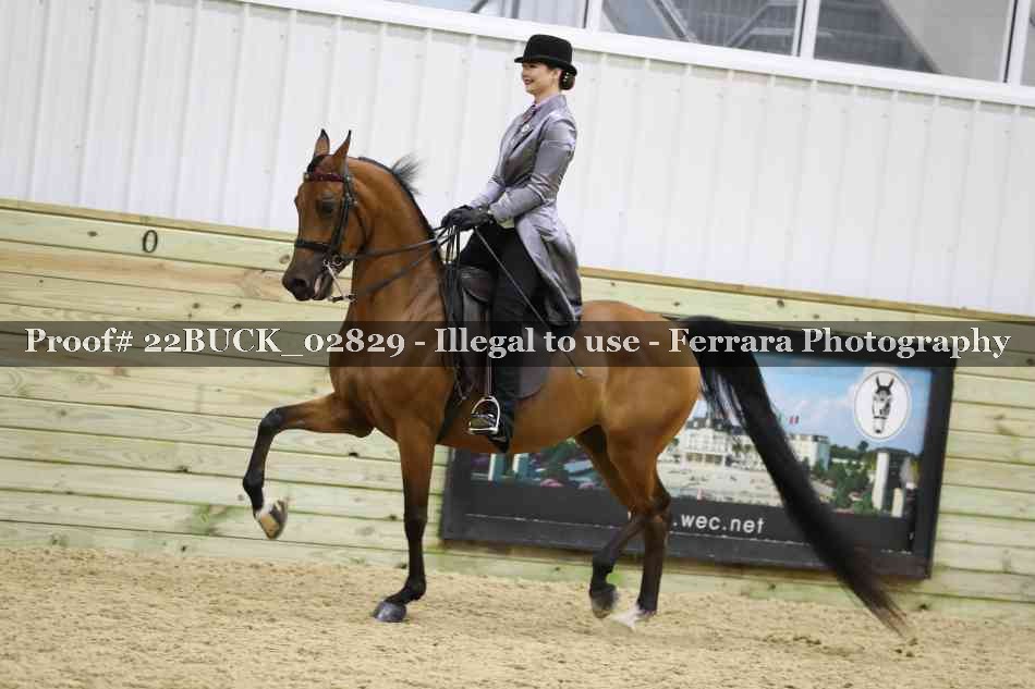 Proof 22BUCK_02829