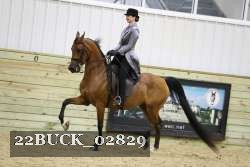 22BUCK_02829 proof