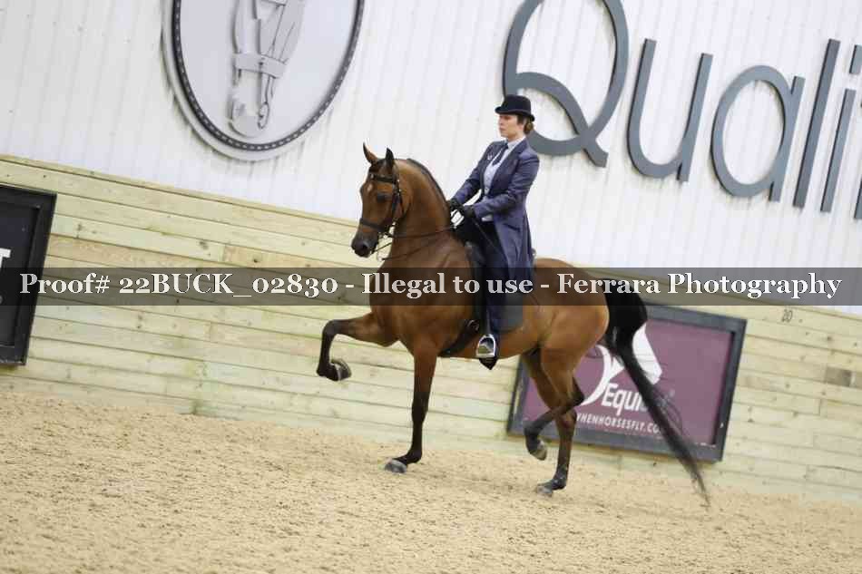 Proof 22BUCK_02830