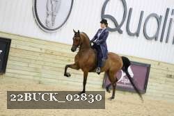 22BUCK_02830 proof