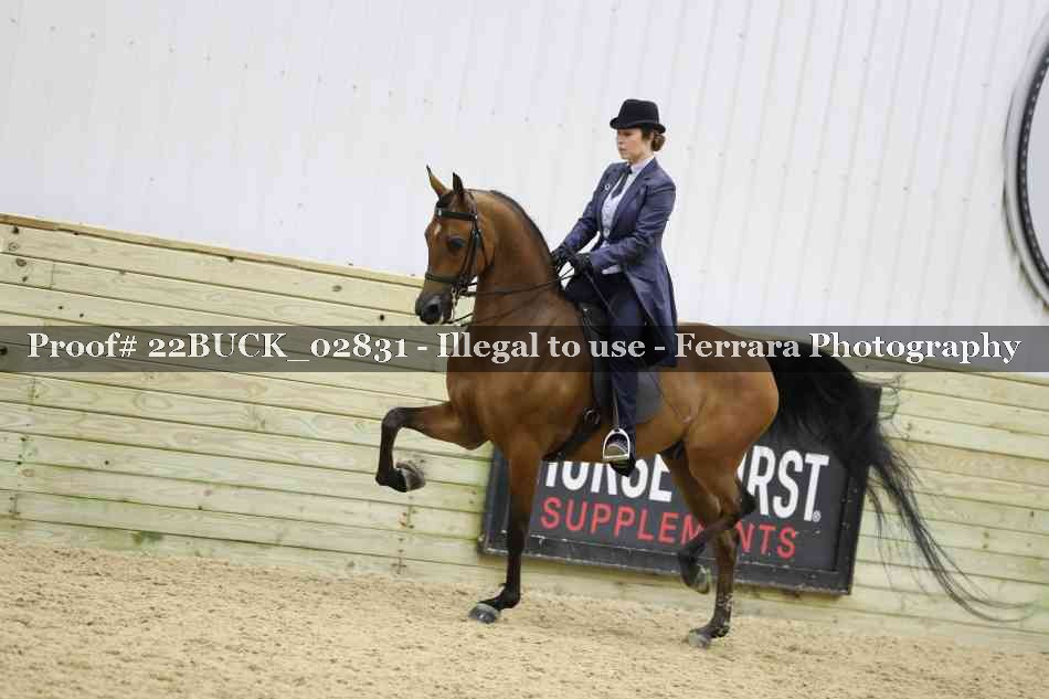 Proof 22BUCK_02831