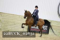 22BUCK_02831 proof