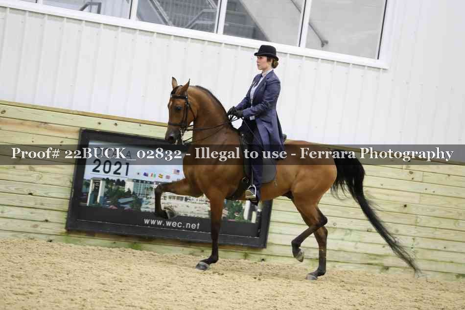 Proof 22BUCK_02832