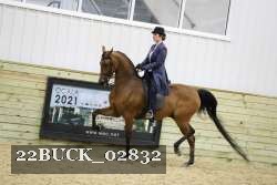 22BUCK_02832 proof