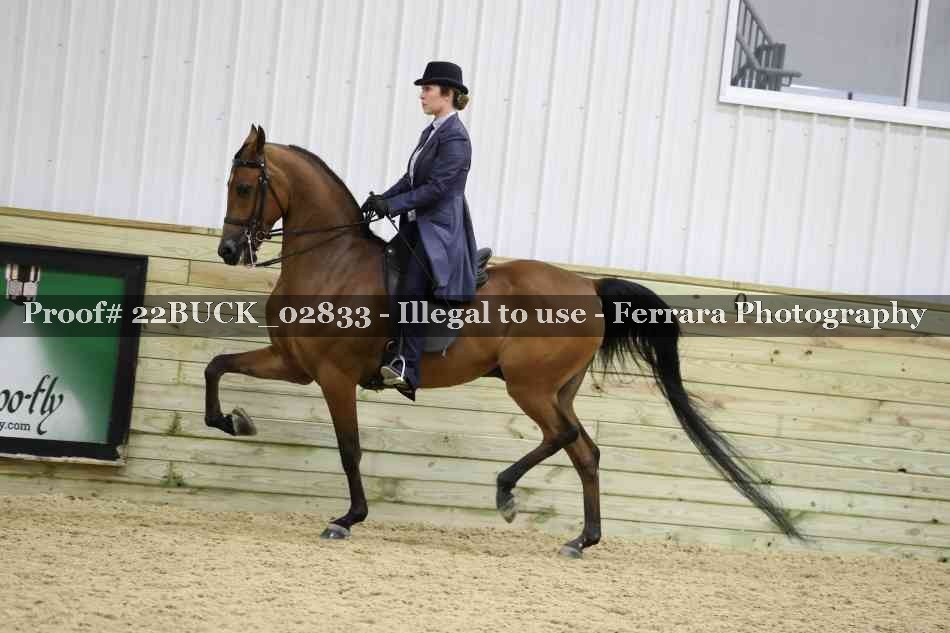 Proof 22BUCK_02833