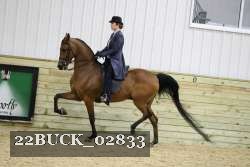 22BUCK_02833 proof