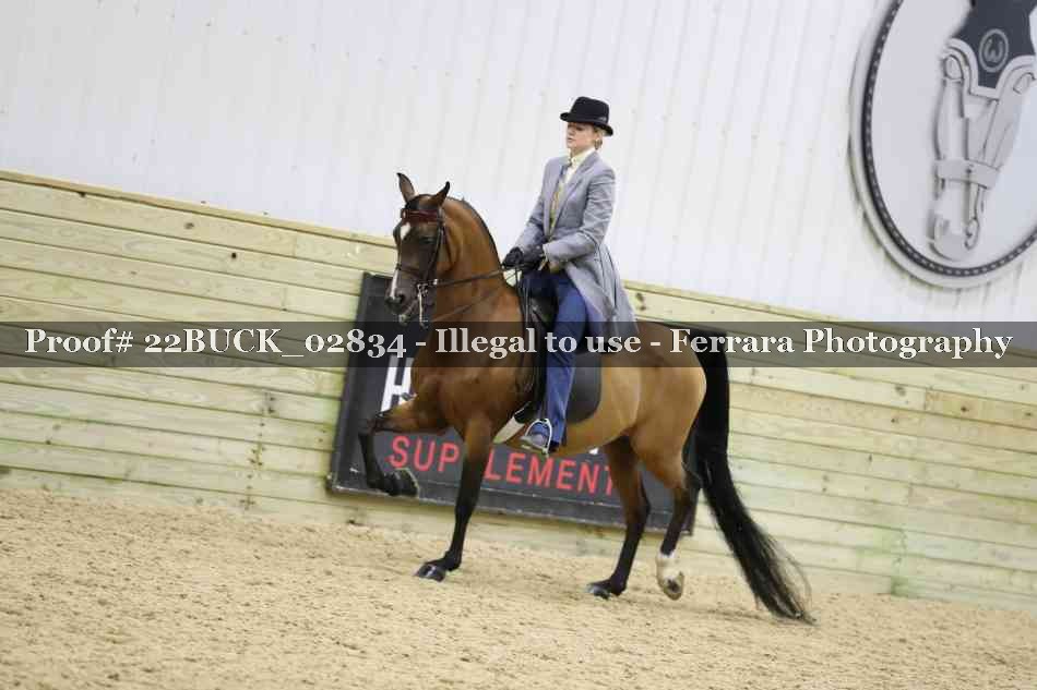 Proof 22BUCK_02834