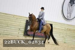 22BUCK_02834 proof