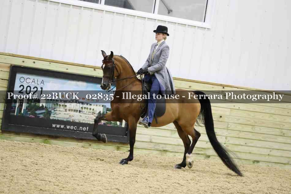 Proof 22BUCK_02835
