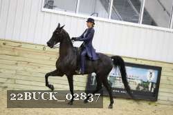 22BUCK_02837 proof