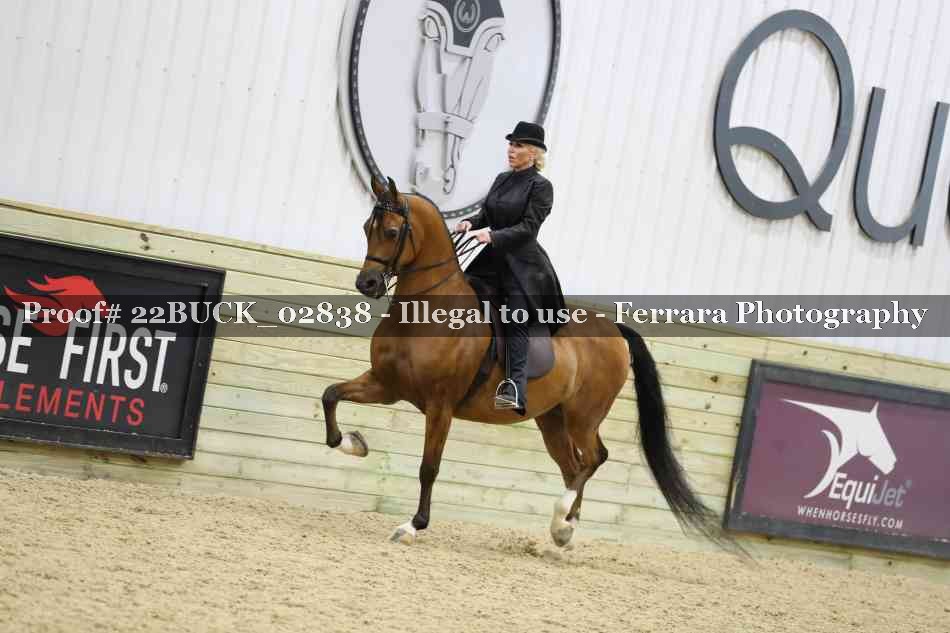 Proof 22BUCK_02838