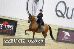 22BUCK_02838 proof
