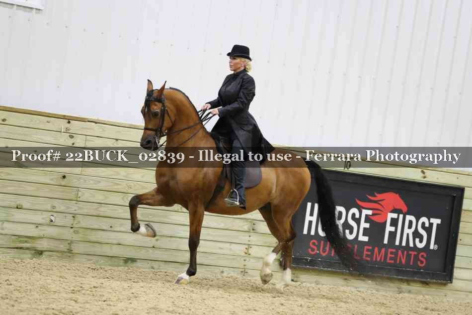 Proof 22BUCK_02839