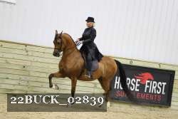22BUCK_02839 proof