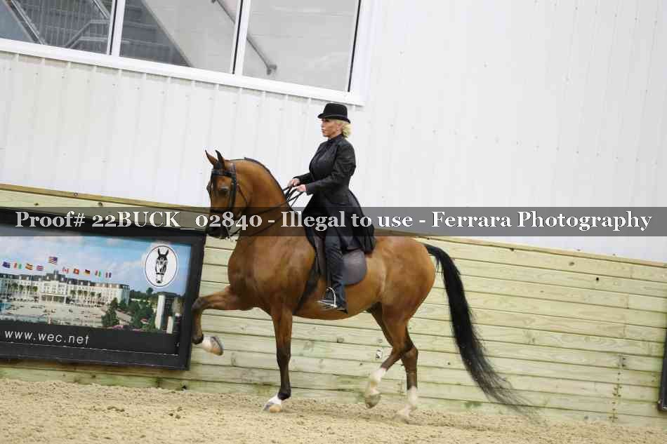 Proof 22BUCK_02840