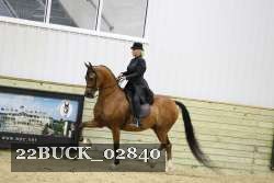 22BUCK_02840 proof
