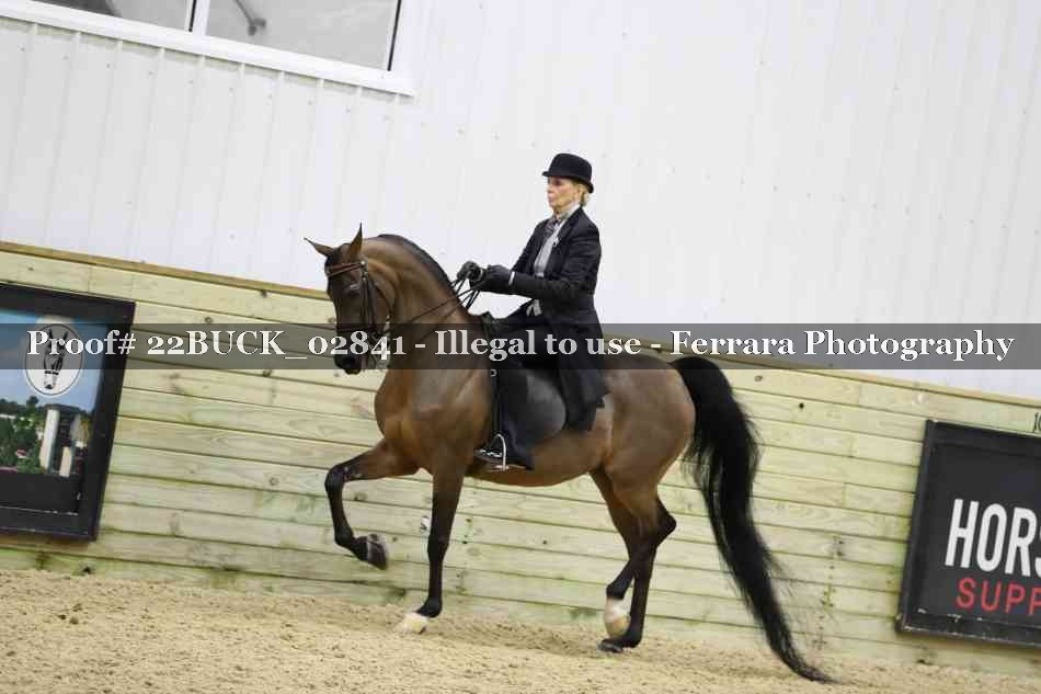 Proof 22BUCK_02841