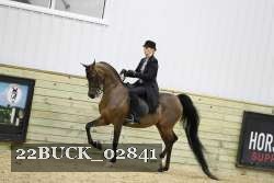 22BUCK_02841 proof