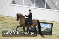 22BUCK_02842 proof