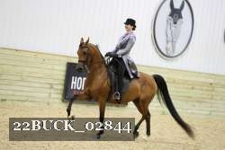 22BUCK_02844 proof