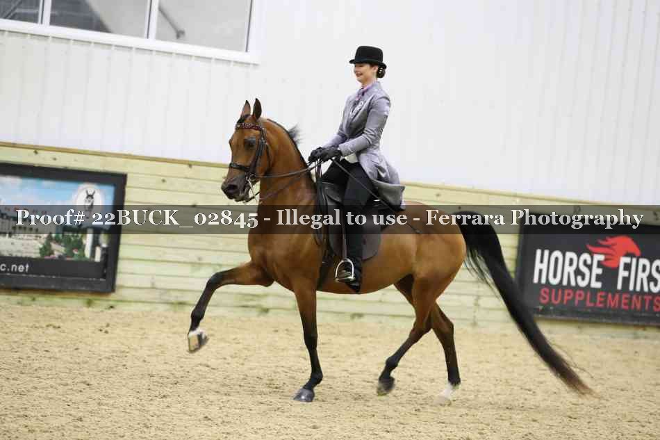 Proof 22BUCK_02845