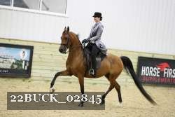 22BUCK_02845 proof