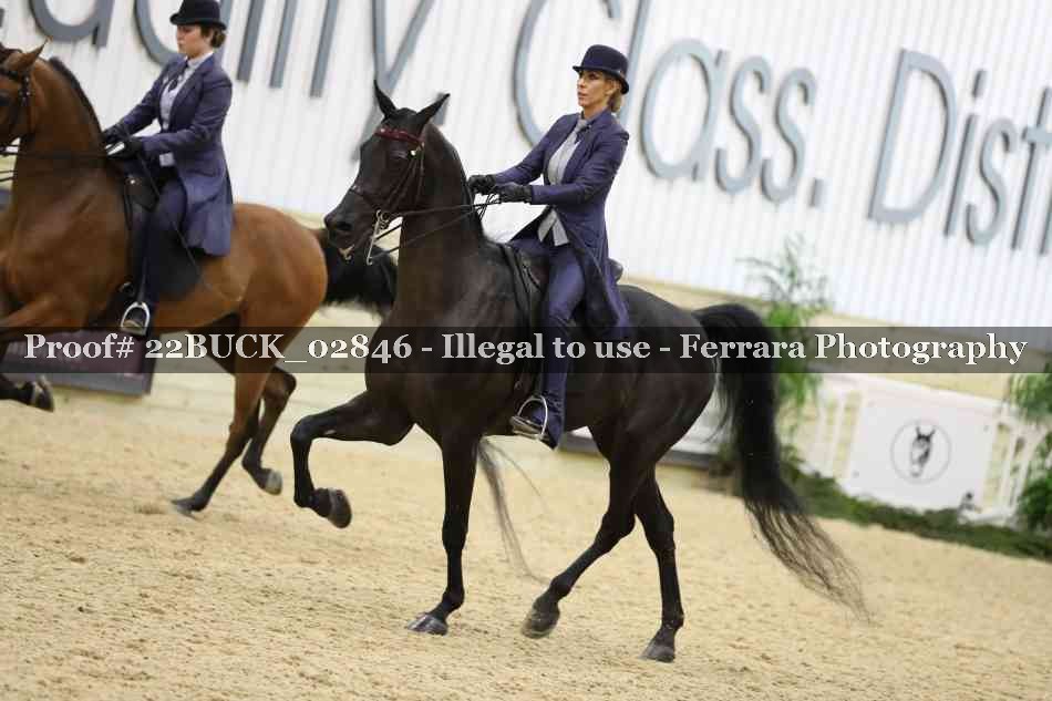 Proof 22BUCK_02846