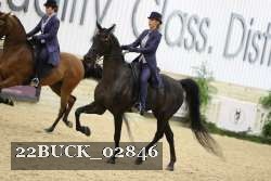 22BUCK_02846 proof