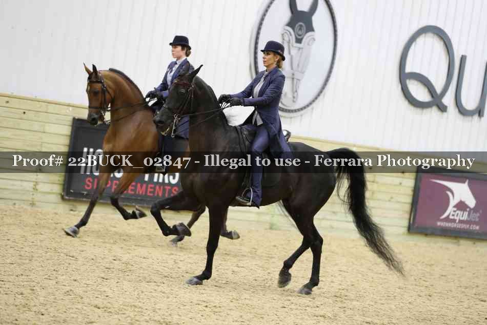 Proof 22BUCK_02847