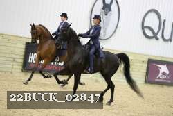 22BUCK_02847 proof