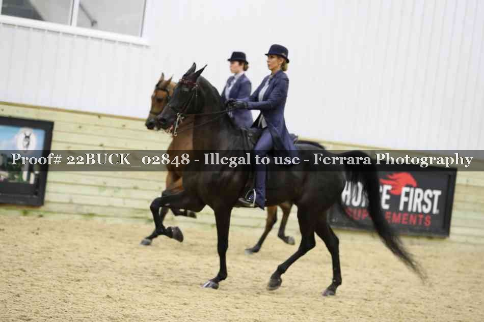 Proof 22BUCK_02848