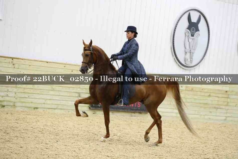 Proof 22BUCK_02850