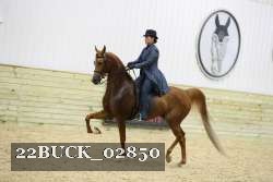 22BUCK_02850 proof