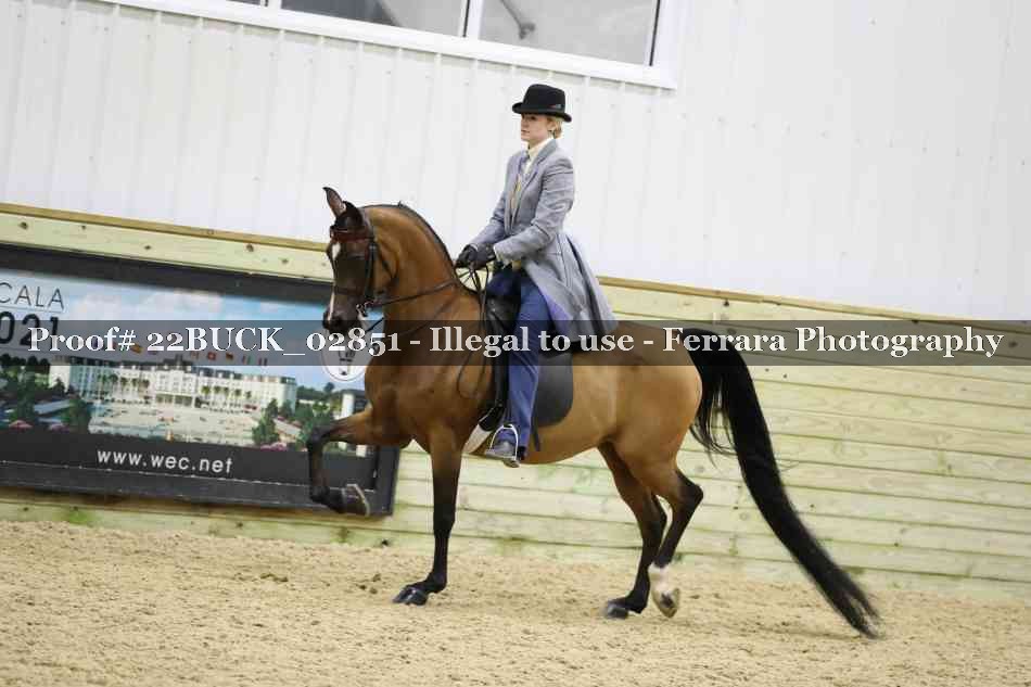 Proof 22BUCK_02851
