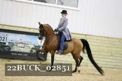 22BUCK_02851 proof