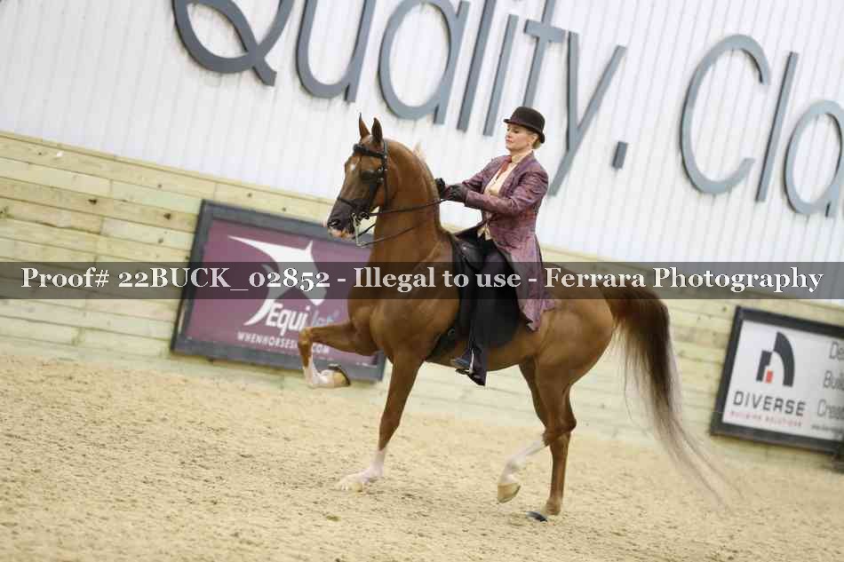 Proof 22BUCK_02852
