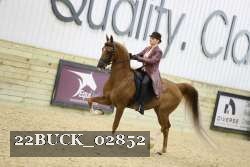 22BUCK_02852 proof