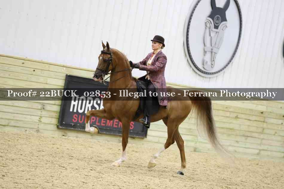 Proof 22BUCK_02853